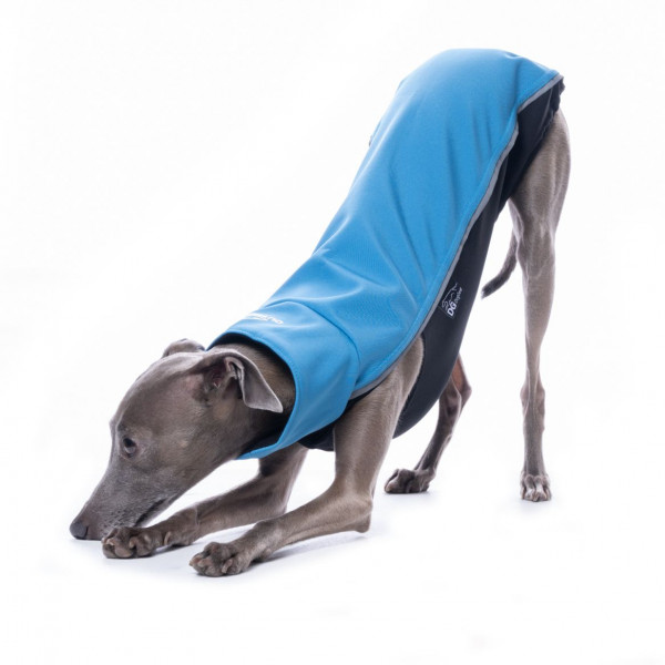 Windhundbekleidung softshell