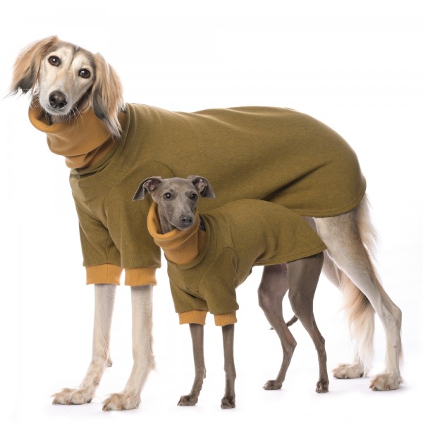 Windhund Sweatshirt doggear