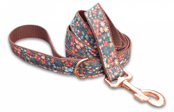 Hundeleine passend zu Halsband "asters"