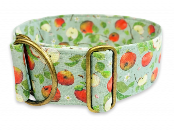 Hundehalsband apple