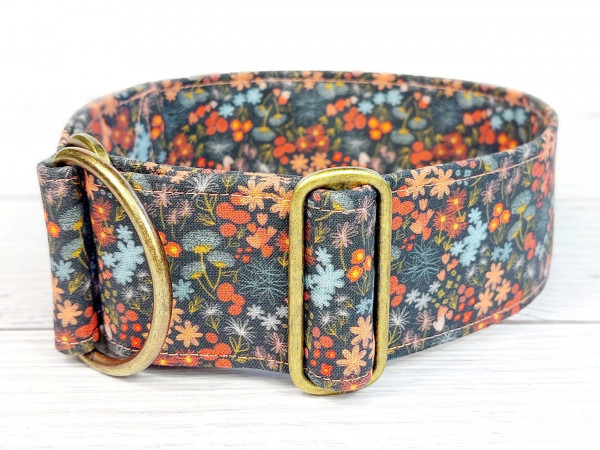asters | Gr.M