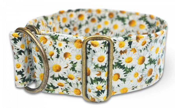 Hundehalsband Daisy