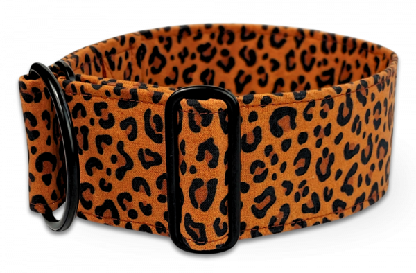 hundehalsband leo