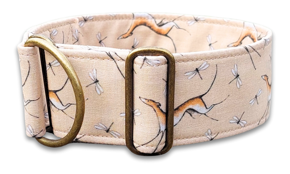 Hundehalsband Libelle Windhundhalsband | GalgoStore