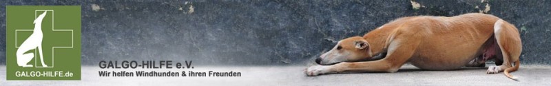 banner_galgohilfe