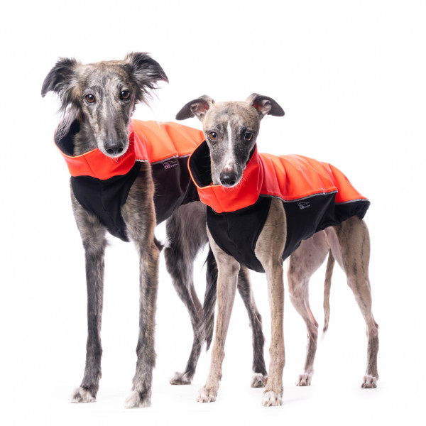 DG | OUTDOOR Softshell -Top Neon Red