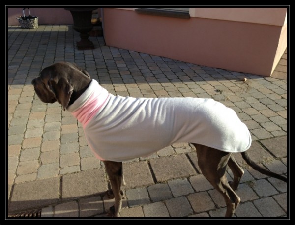 dogge_kgross