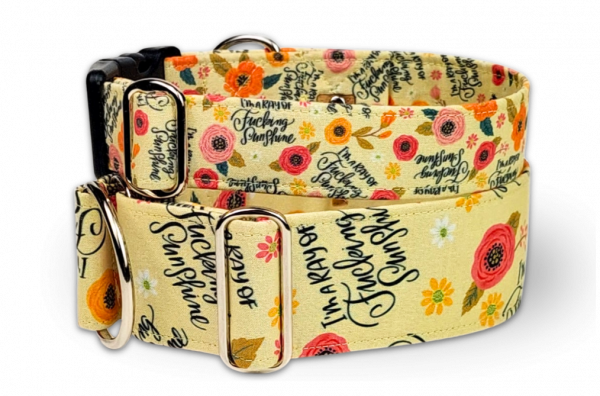 Hundehalsband ray of sunshine