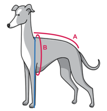 messanleitung_m-ntel586a6872b401c